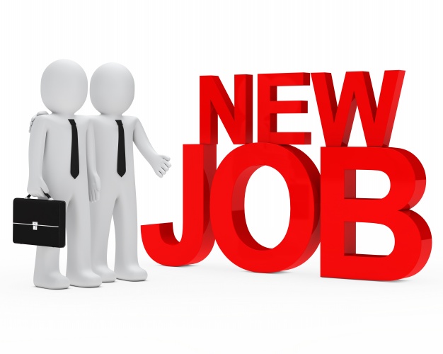 job spotlight