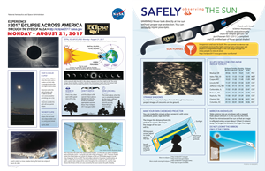 fact sheet preview 