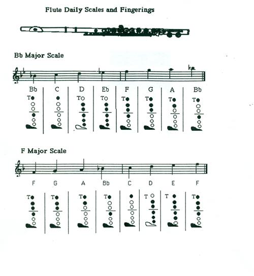 Visual And Performing Arts Beginning Flute Visual And Performing Arts Beginning Flute