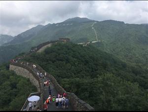 Greatwall 