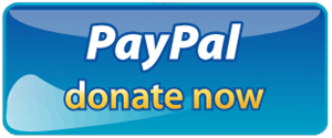 Donate now button 