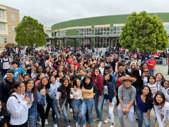 El Cerrito High School / Homepage