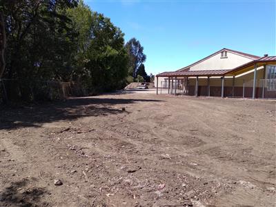 Bark area