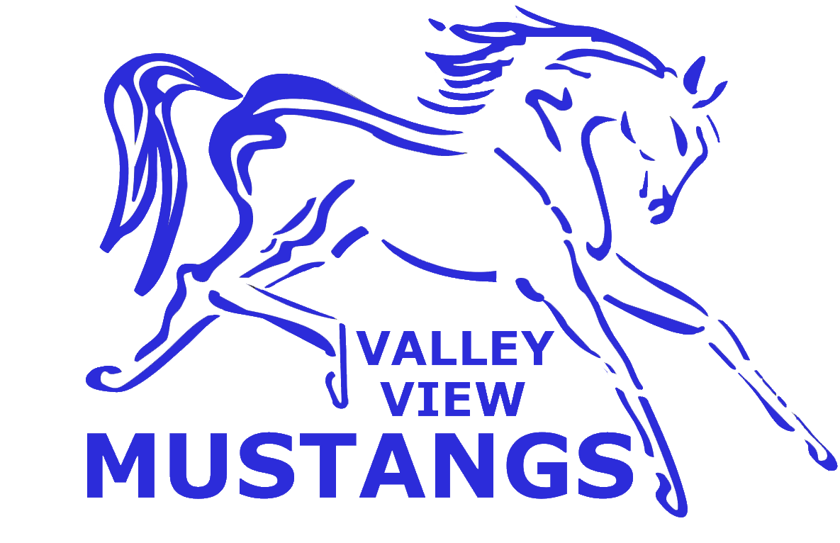 Valley View Elementary School Logo